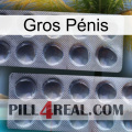 Gros Pénis 31